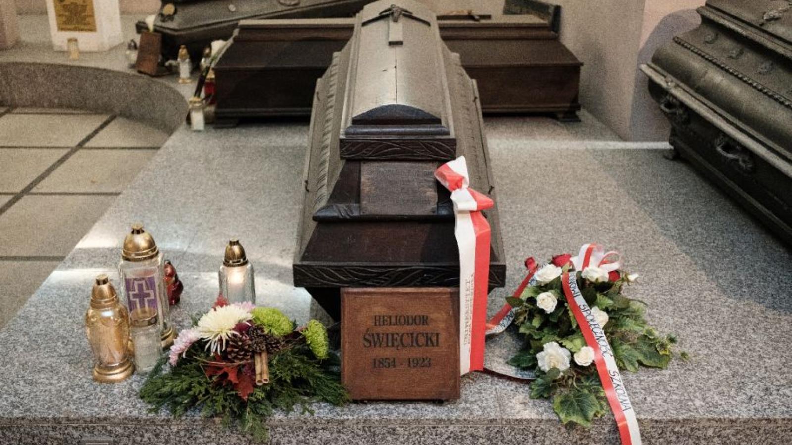 fot. Adrian Wykrota